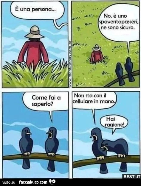 Vaccata