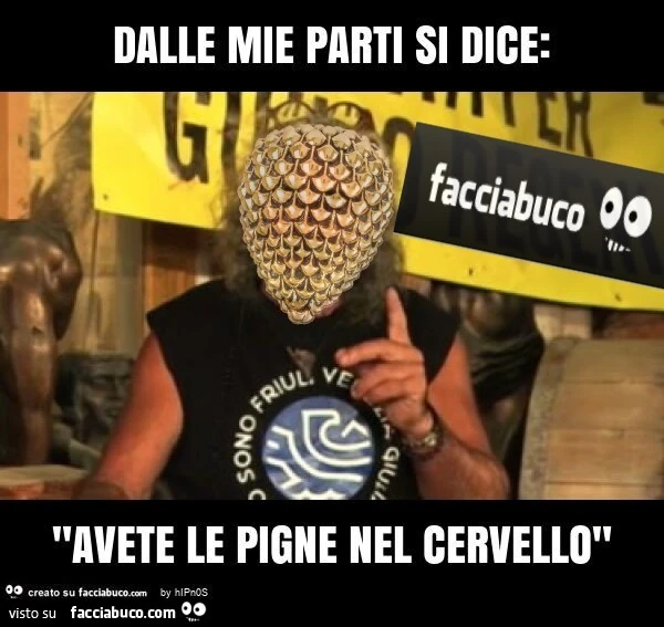 Dalle mie parti si dice: "avete le pigne nel cervello"