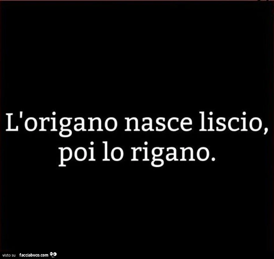 L'origano nasce liscio, poi io rigano
