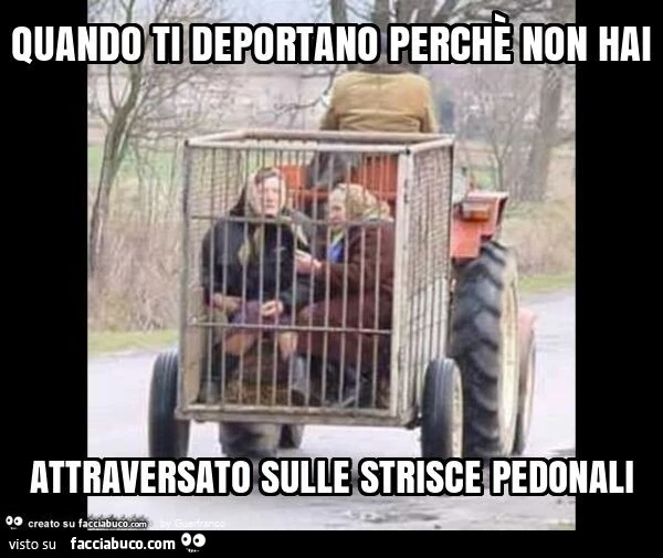 Quando ti deportano perchè non hai attraversato sulle strisce pedonali