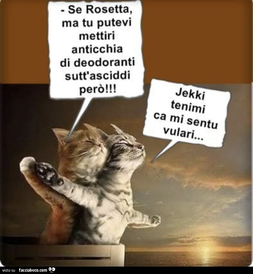 Vaccata
