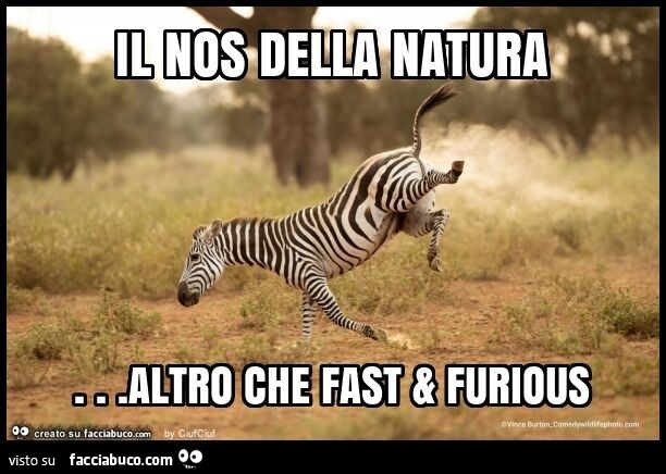 Il nos della natura… altro che fast & furious