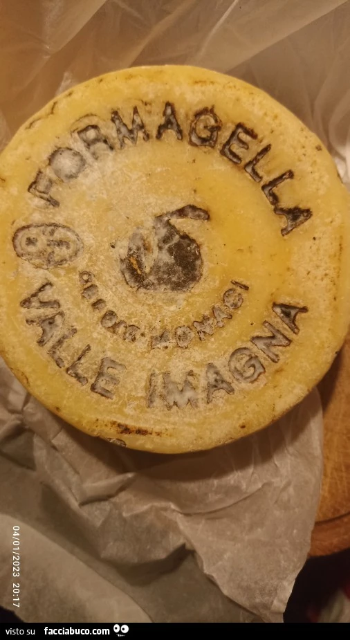 Vaccata