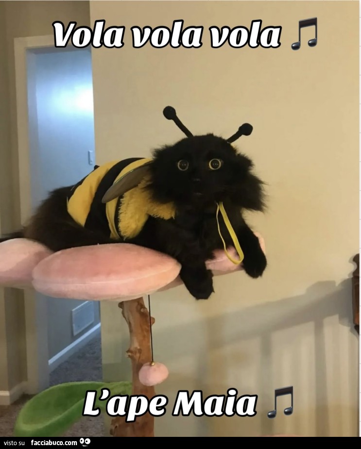 Vaccata