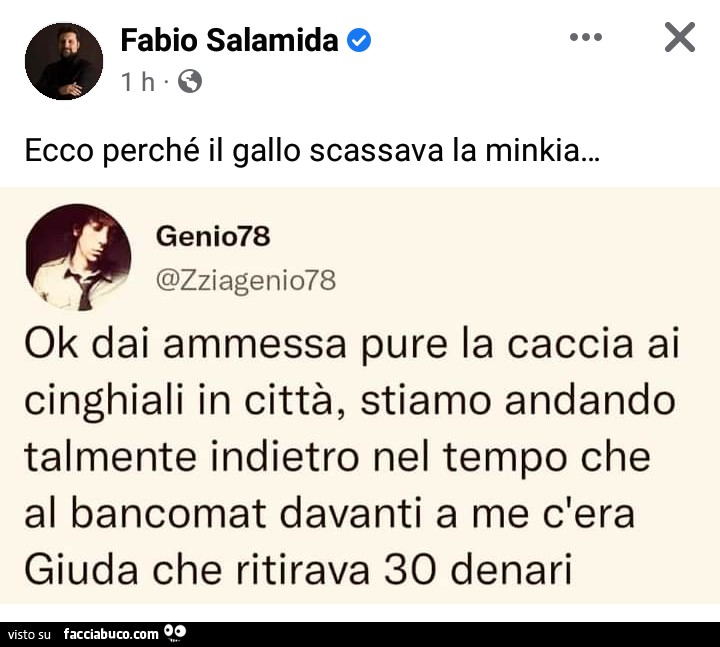 0zlxgzzvi5-ok-dai-ammessa-pure-la-caccia