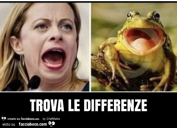 Trova le differenze