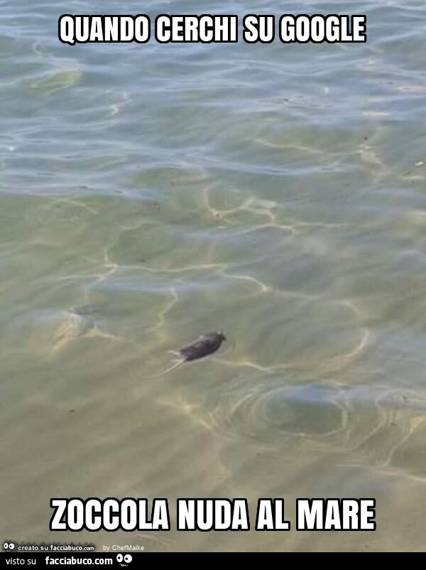 Quando cerchi su google zoccola nuda al mare