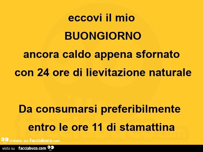 Eccovi il mio buongiorno ancora caldo appena sfornato con 24 ore di lievitazione naturale da consumarsi preferibilmente entro le ore 11 di stamattina