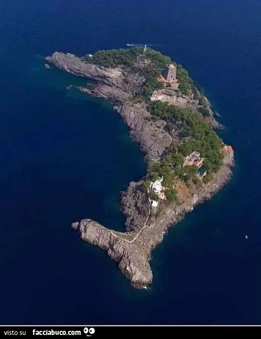 Isola a forma di delfino
