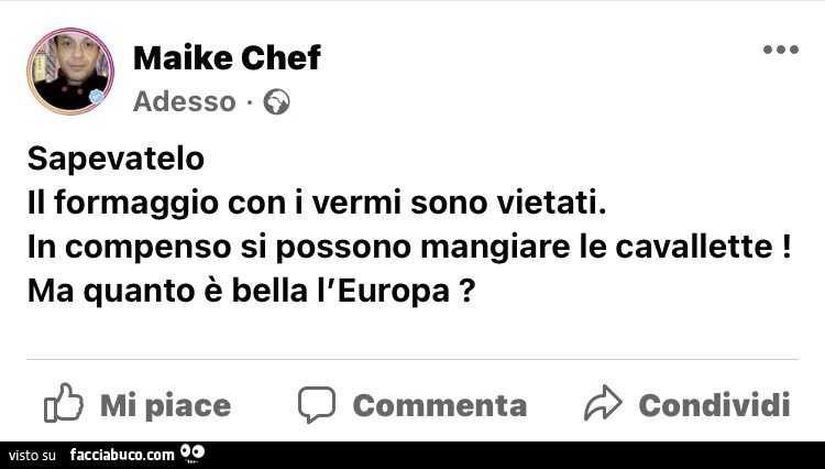 Sapevatelo il formaggio con i vermi sono vietati. In compenso si possono mangiare le cavallette! Ma quanto è bella l'europa?
