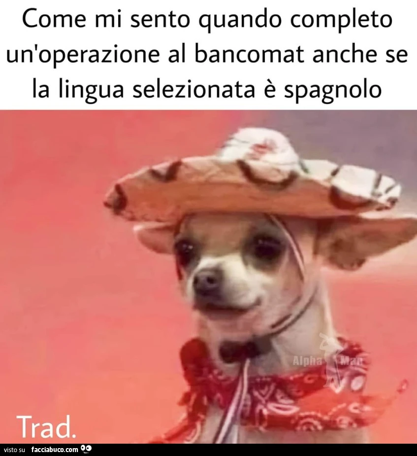 Vaccata