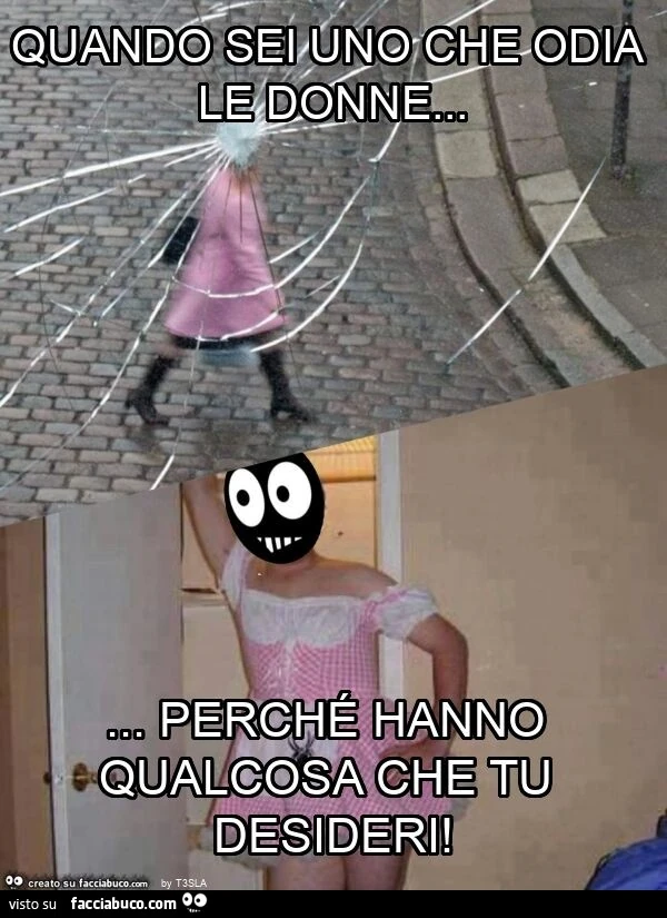 Quando sei uno che odia le donne… perchรฉ hanno qualcosa che tu desideri