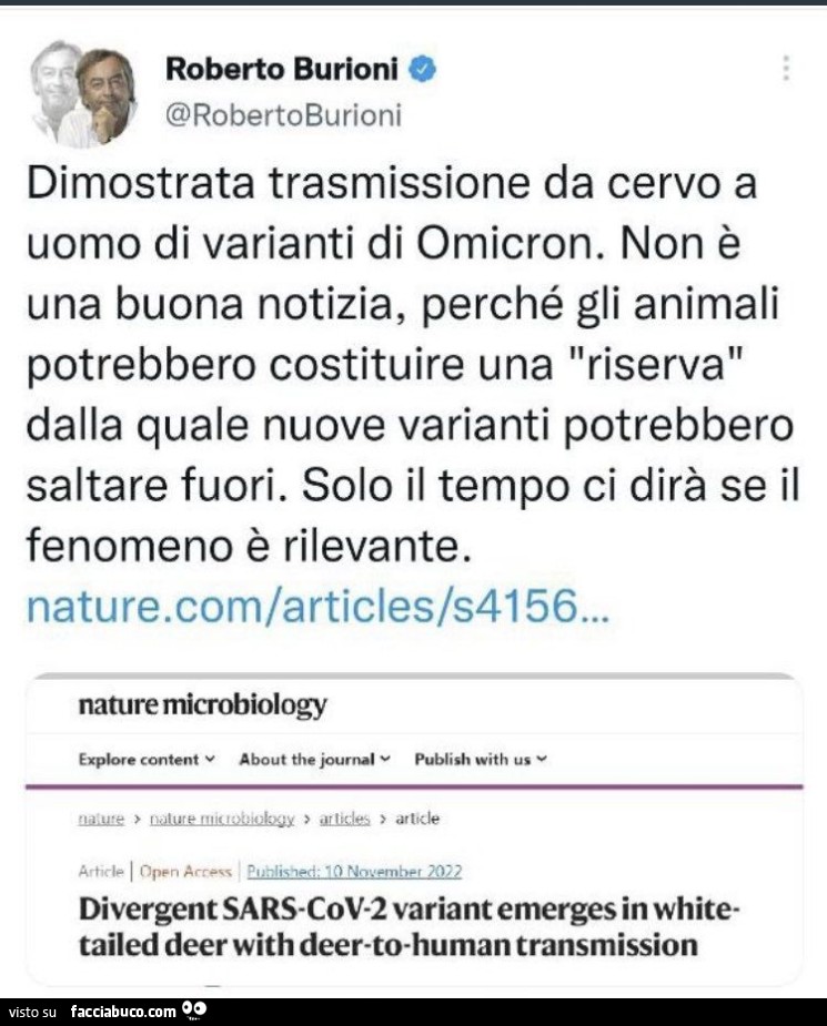 Dimostrata trasmissione da cervo a uomo di varianti di omicron. Non è una buona notizia, perché gli animali potrebbero costituire una riserva dalla quale nuove varianti potrebbero saltare fuori