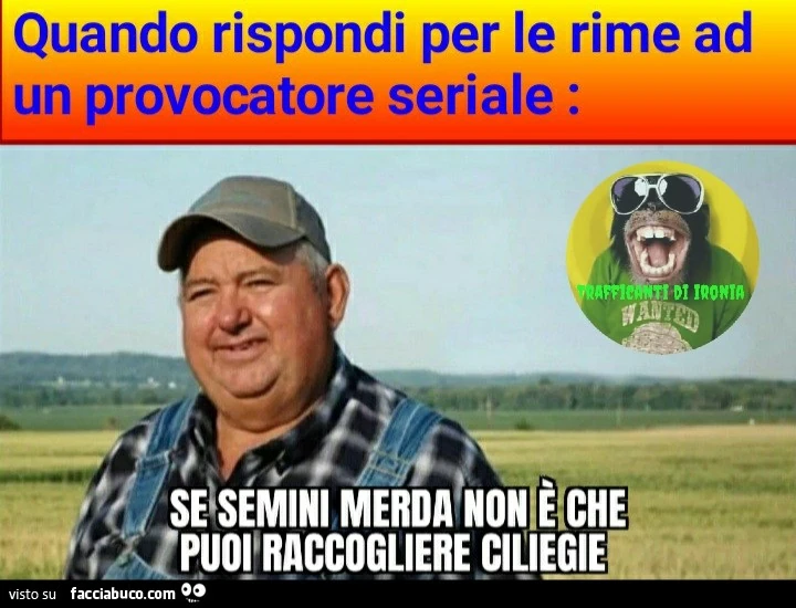 Quando rispondi per le rime a un provocatore seriale se semini merda