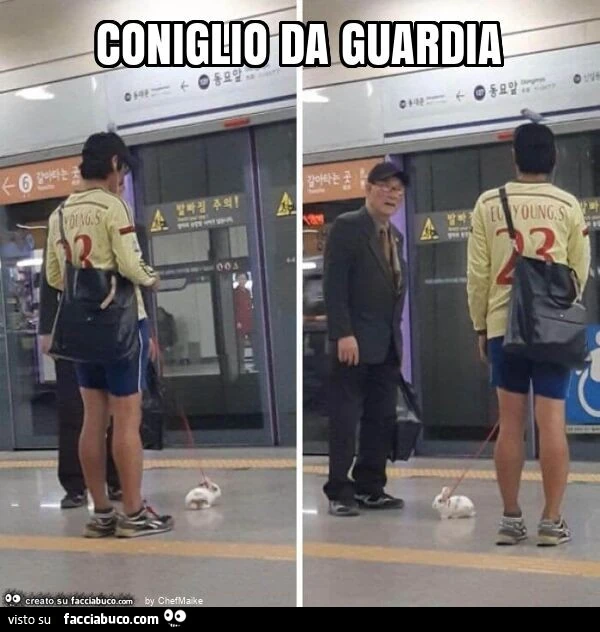 Coniglio da guardia