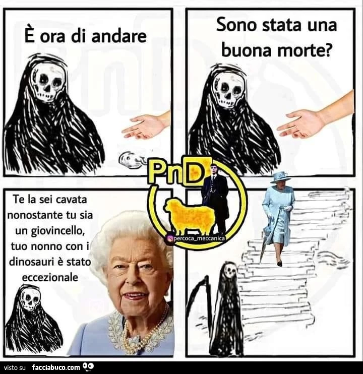 Vaccata