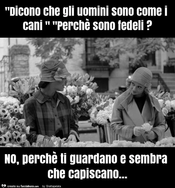 "dicono che gli uomini sono come i cani " "perchè sono fedeli? No, perchè ti guardano e sembra che capiscano