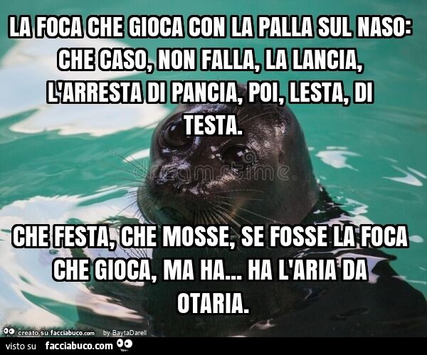 From Popinga, M. F. B. La foca che gioca con la palla sul naso: che caso, non falla, la lancia, l'arresta di pancia, poi, lesta, di testa. Che festa, che mosse, se fosse la foca che gioca, ma ha… ha l'aria da otaria