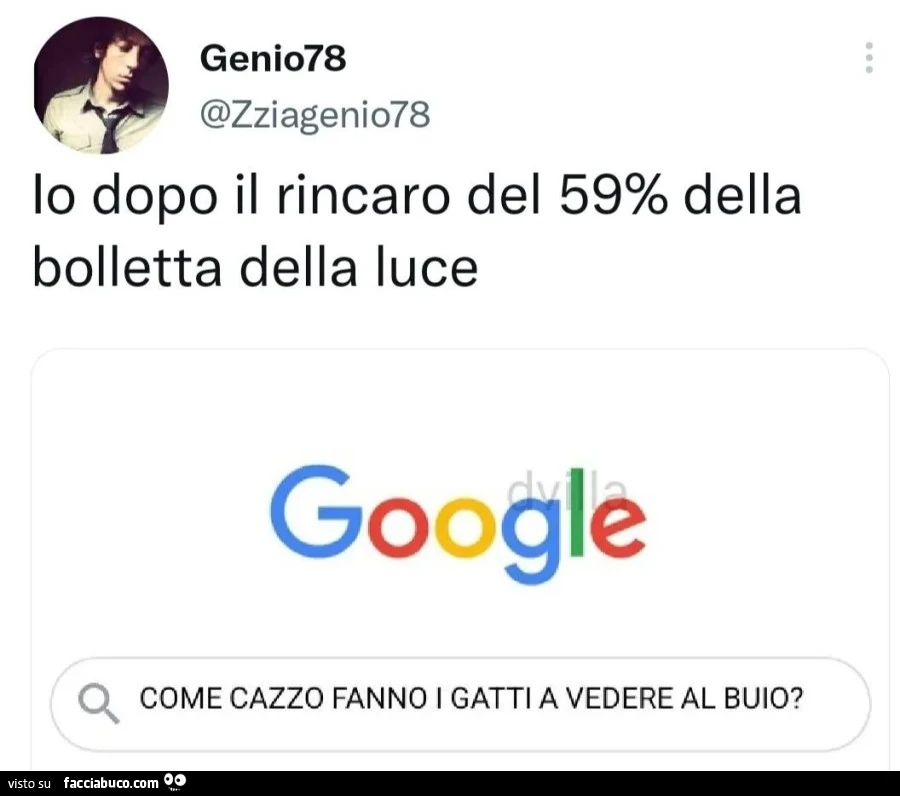 Io dopo il rincaro del 59% della bolletta della luce. Google come cazzo fanno i gatti a vedere al buio?