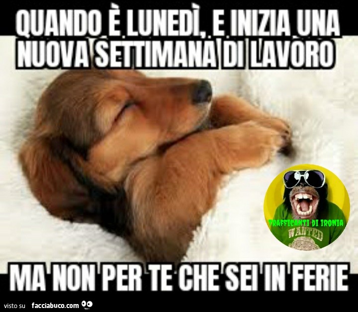 Quando è lunedì e inizia una nuova settimana di lavoro ma non per te