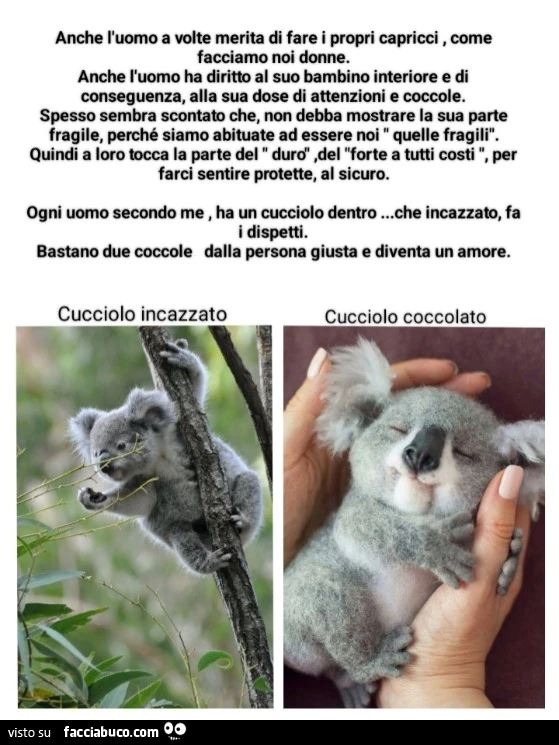 Vaccata