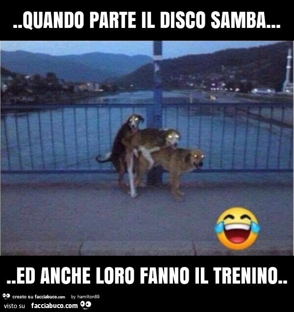 Quando parte il disco samba… ed anche loro fanno il trenino