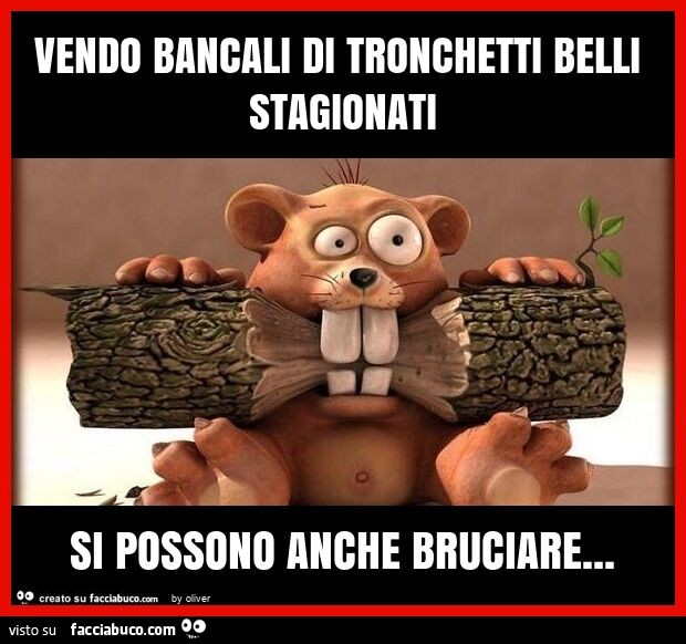 Vendo bancali di tronchetti belli stagionati si possono anche bruciare