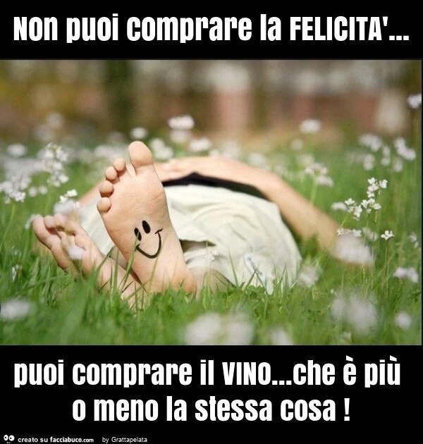 Non puoi comprare la felicità&hellip; puoi comprare il vino&hellip; che è più o meno la stessa cosa