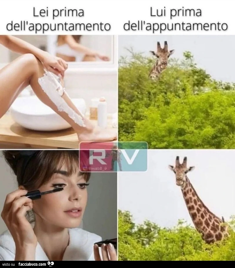 Vaccata