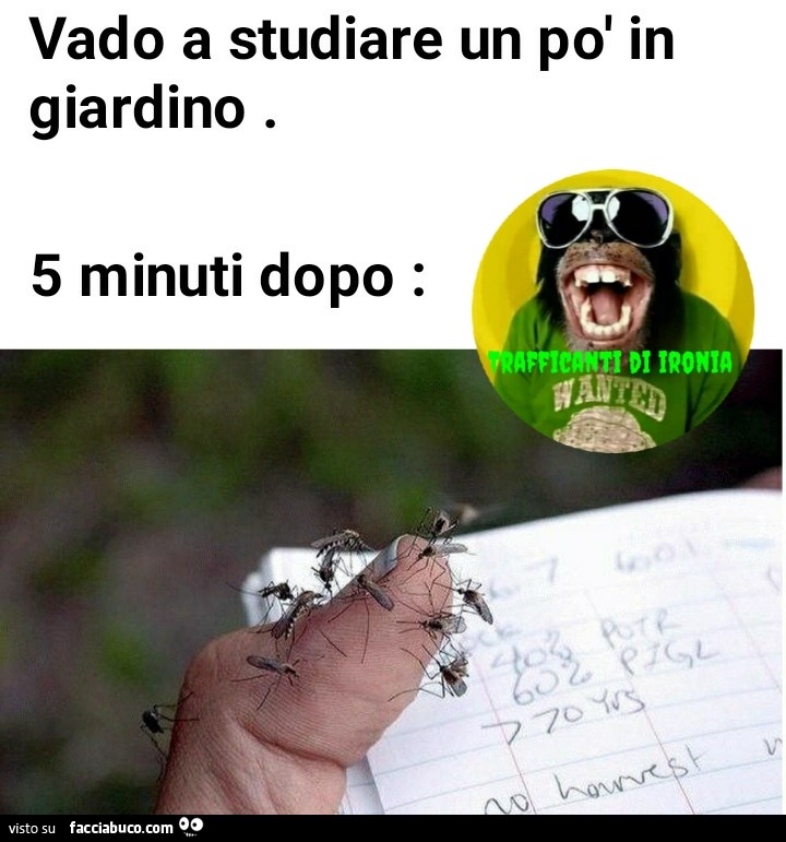 Vado a studiare un po' in giardino 5 minuti dopo