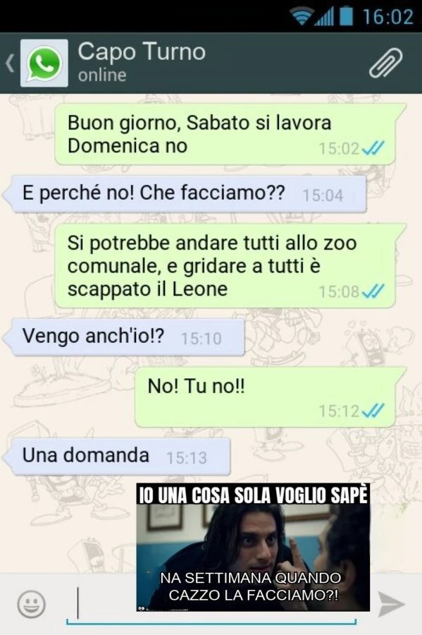 Vaccata