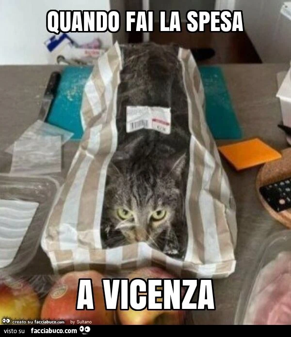 Quando fai la spesa a vicenza