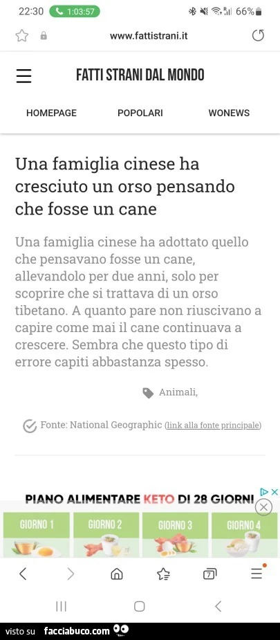 Una famiglia cinese ha cresciuto un orso pensando che fosse un cane