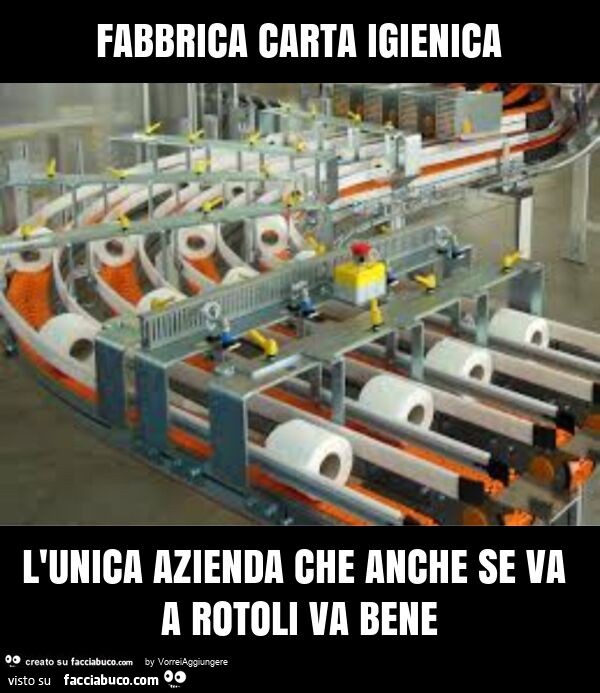 Fabbrica carta igienica l'unica azienda che anche se va a rotoli va bene