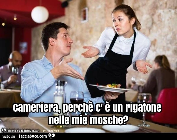 Cameriera, perchè c' è un rigatone nelle mie mosche?