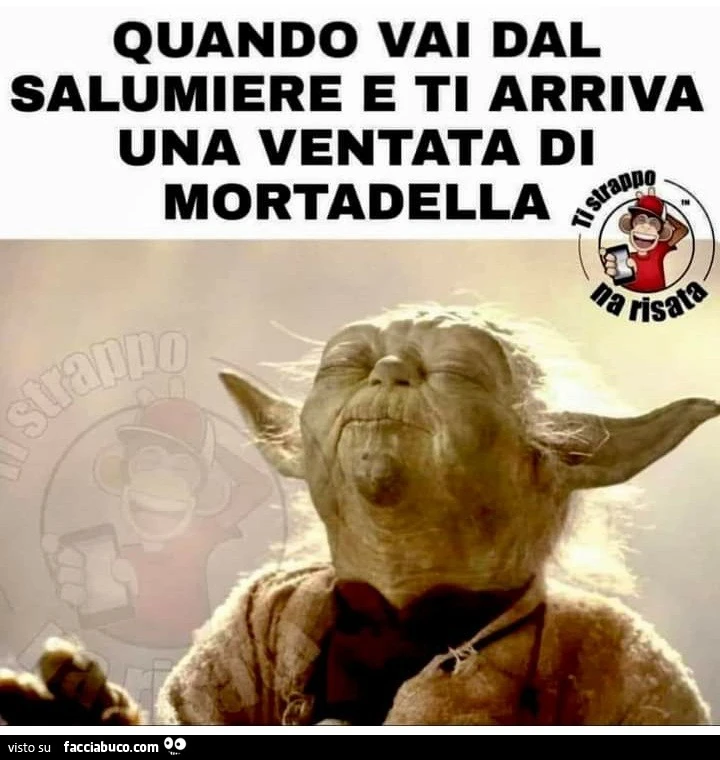 quando-vai-dal-salumiere-e-ti-arriva-una-ventata-di-mortadella