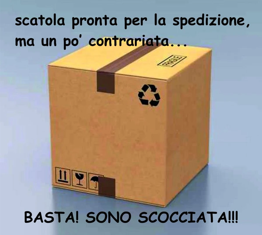 Scatola schotchata