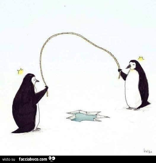 Pinguini salto della corda