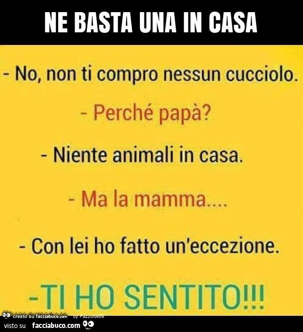 Ne basta una in casa
